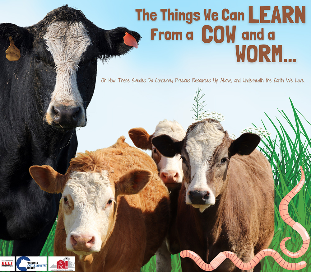 Things we can learn from a cow and a worm