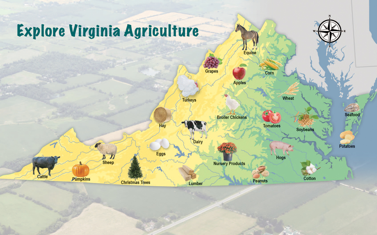 Virginia Interactive Map