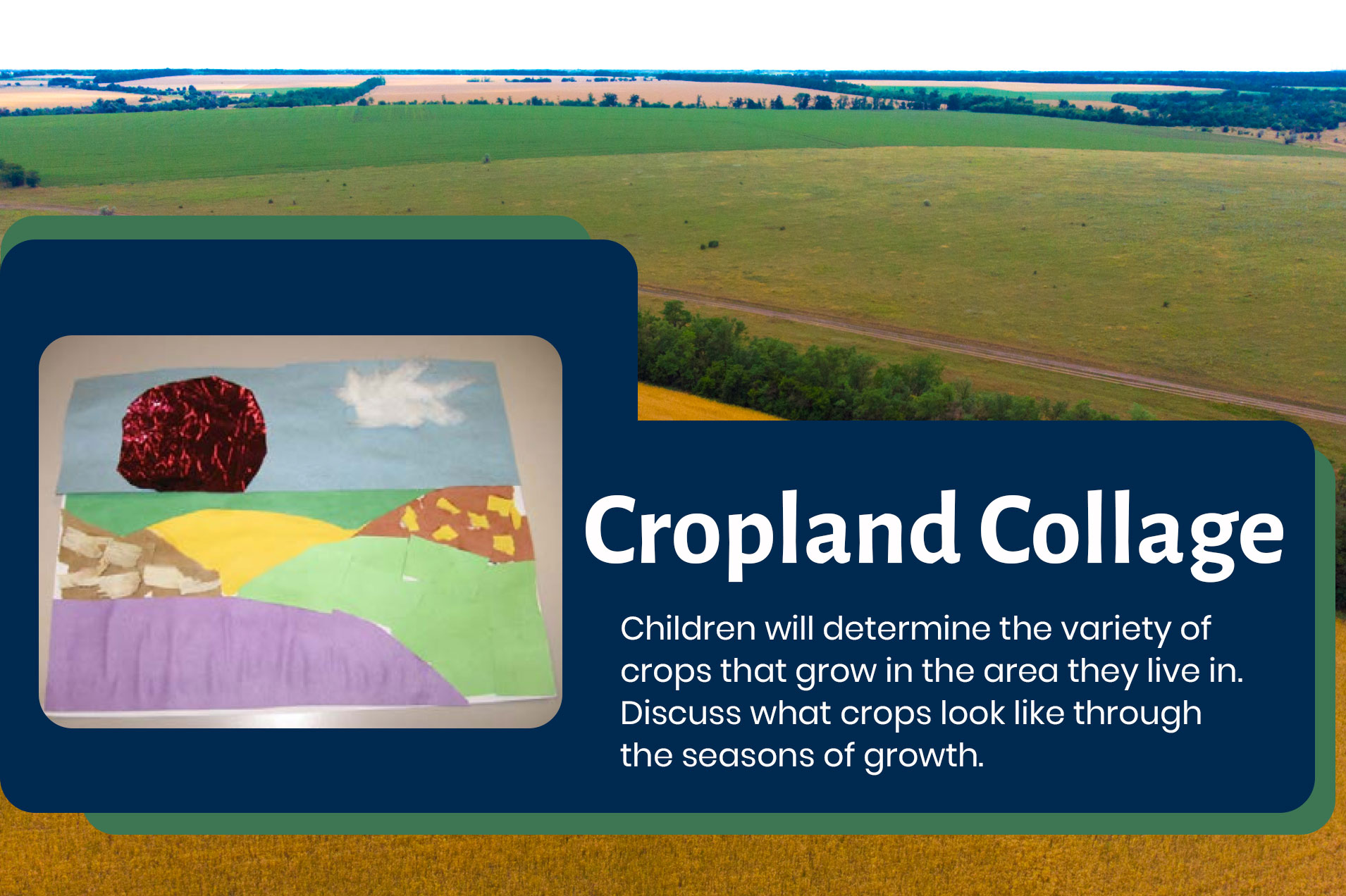 Cropland Collage