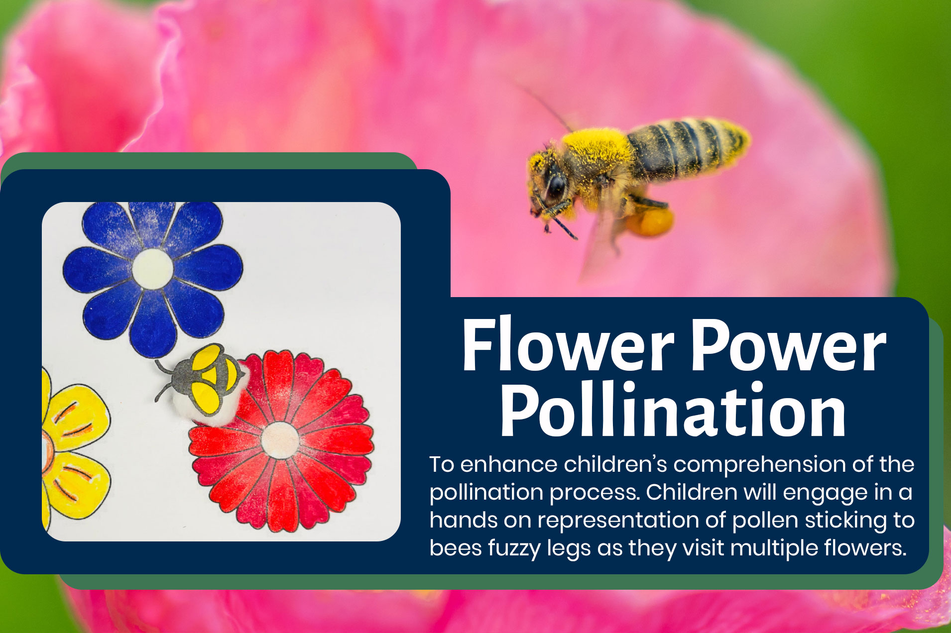 Flower Power Pollination