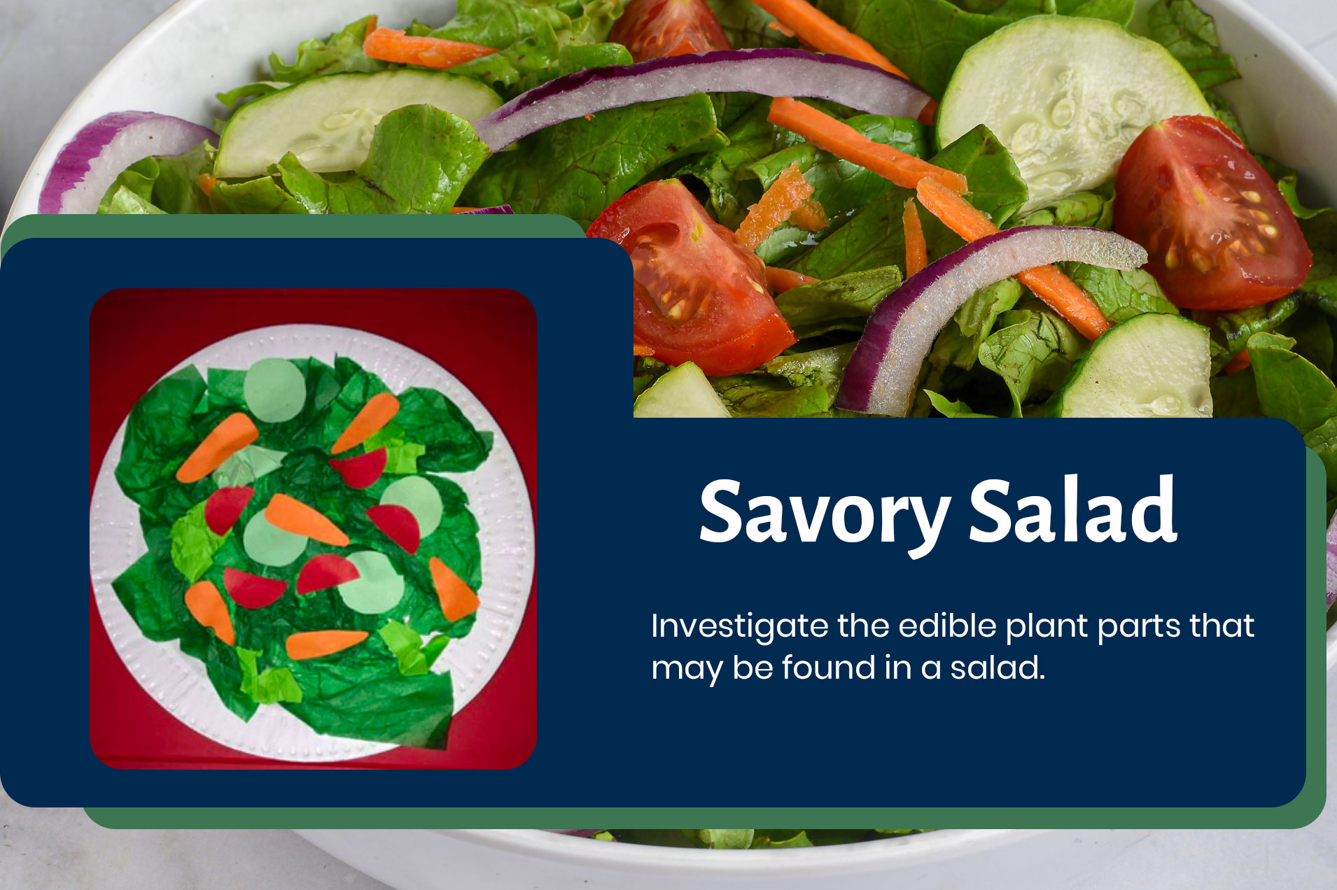 Savory Salad