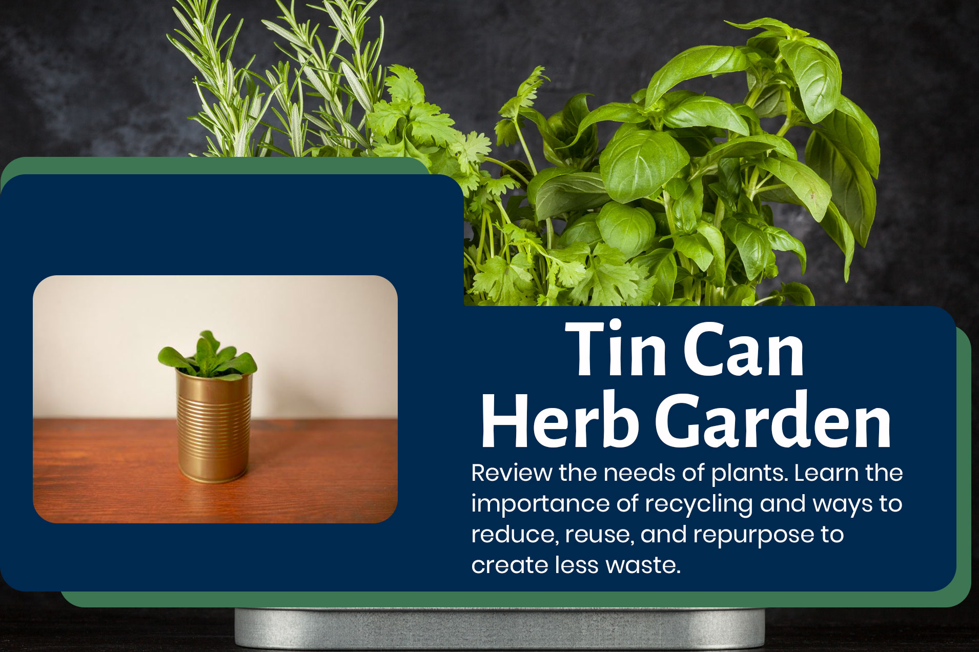 Tin Can Herb Garden